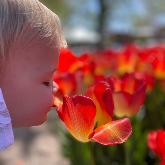 Meet your Posher, Lexi - Picture 1 of 1